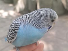 -北戴河集发农业梦想王国