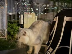 -中央广播电视总台(光华路办公区)