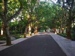 -花溪公园