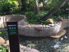 -三亚珠江南田温泉度假区