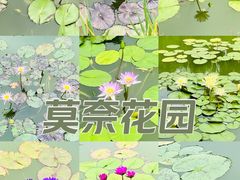 -国家植物园南园