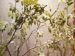 -百富源·海鲜辽菜(和平北大街店)