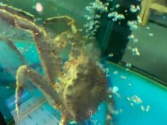 -鲜味食族水产·海鲜餐厅