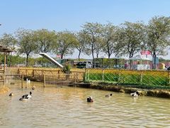 -盈香心动乐园