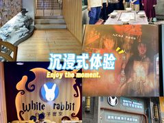 -白兔子密室(长寿路店)