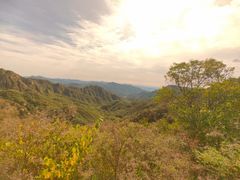 -大岭沟猕猴桃谷风景区