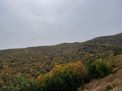 -灵山
