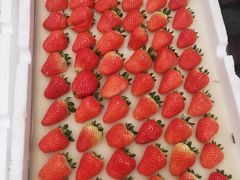 -西郊国际农产品交易中心