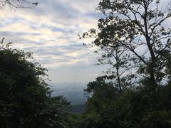 -火炉山森林公园