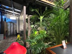 -菌自由丨野生菌火锅特色庭院餐厅(丽江古城店)