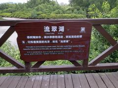 -大亚湾红树林城市湿地公园