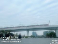 -宝安西湾红树林湿地公园