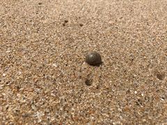 -海云台海滩