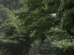 -杭州植物园