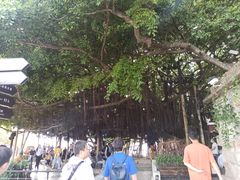 -胡里山炮台