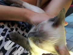 Mikaku(Mikaku万达店)-MIKAKU(万达广场上海宝山店)