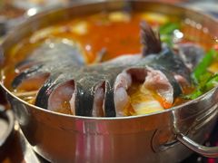 酸汤鱼-苗岭侗寨(金阳店)
