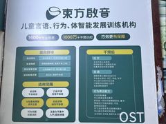 -东方启音·儿童康复中心·自闭症干预·语言迟缓·发育迟缓(深圳宝安中心)