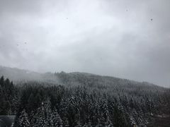 -硗碛藏寨·神木垒景区