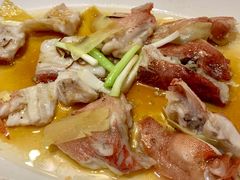东星斑三食-龙的酒楼·手工早茶·顺德菜(近良路店)