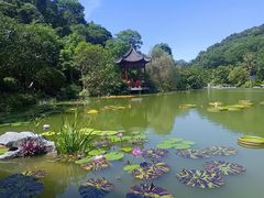 -云溪植物园
