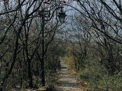 -杭州半山国家森林公园