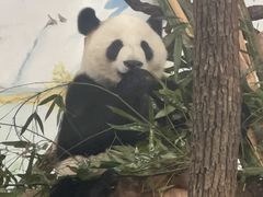-南宁市动物园