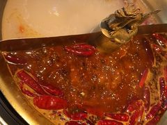 -小龙翻大江文化火锅(宽窄店)
