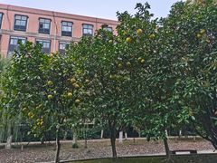 -杭州电子科技大学(下沙校区)