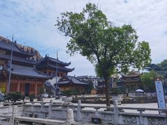 -上海东林寺(金山区)