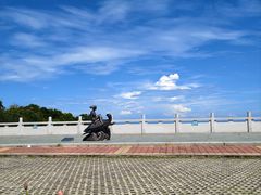 -广东惠东海龟国家级自然保护区
