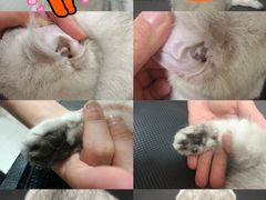 -悠尼宠物·独立低压伊珊娜洗护·美容·寄养(兰谷路店)