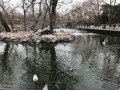 -北京动物园