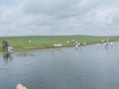 -黑龙江扎龙生态旅游区