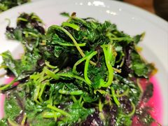 -金枝玉叶上海人家食府(三里河店)