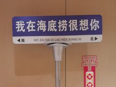 -海底捞火锅(珠影星光城夜宵主题店)