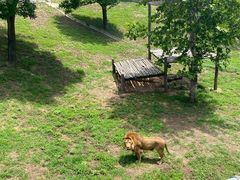 -西霞口神雕山野生动物世界