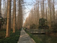 -上海怡沁园度假酒店
