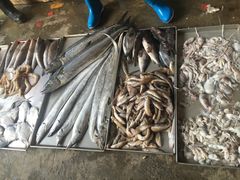 -登州市场(登州路店)