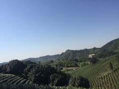 -帐篷客·溪龙茶谷度假酒店