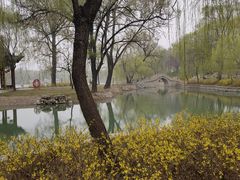 -达活泉公园