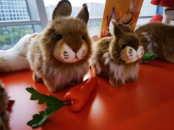 -IMON·HANSA潮玩玩偶毛绒玩具(通州万象汇店)