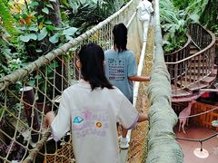 -正佳雨林生态植物园