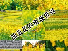 -三圣花乡旅游区