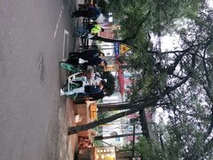 -马文章胖子甑糕(洒金桥店)