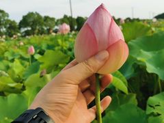 -嘉北郊野公园