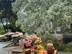 -三圣花乡旅游区