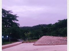 -东莞植物园