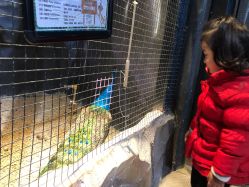 -酷嗒动物文化乐园(cutezoo西溪乐天城店)