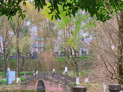 -桂湖森林公园